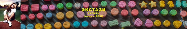 гашик Богородицк