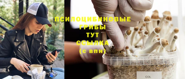 таблы Богородск