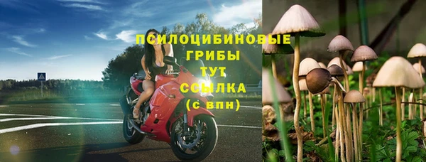 таблы Богородск