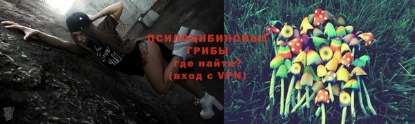 гашик Богородицк
