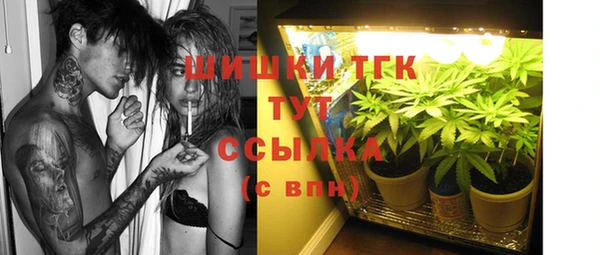 гашик Богородицк