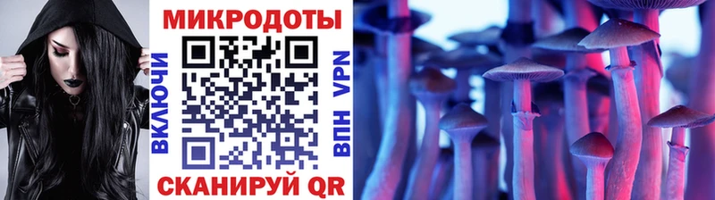 Галлюциногенные грибы Cubensis  Комсомольск-на-Амуре 